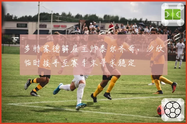 多特蒙德解雇主帅泰尔齐奇，沙欣临时接手至赛季末寻求稳定
