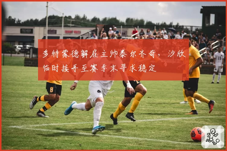 多特蒙德解雇主帅泰尔齐奇，沙欣临时接手至赛季末寻求稳定