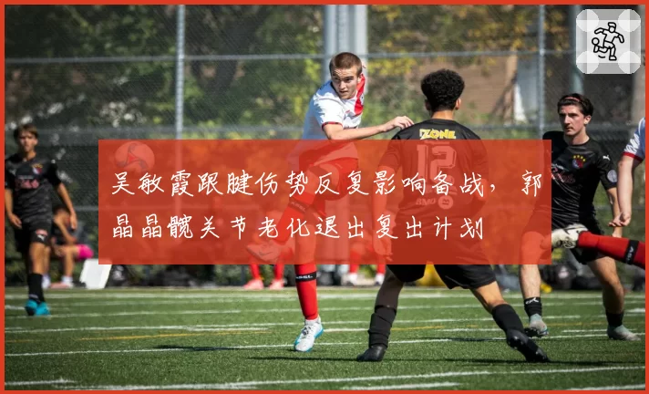 吴敏霞跟腱伤势反复影响备战，郭晶晶髋关节老化退出复出计划