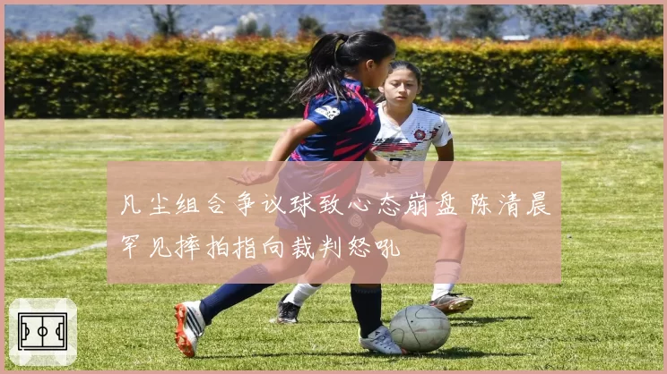 凡尘组合争议球致心态崩盘 陈清晨罕见摔拍指向裁判怒吼