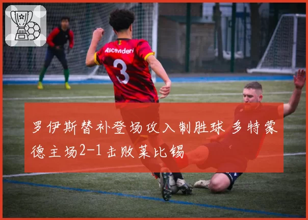 罗伊斯替补登场攻入制胜球 多特蒙德主场2-1击败莱比锡