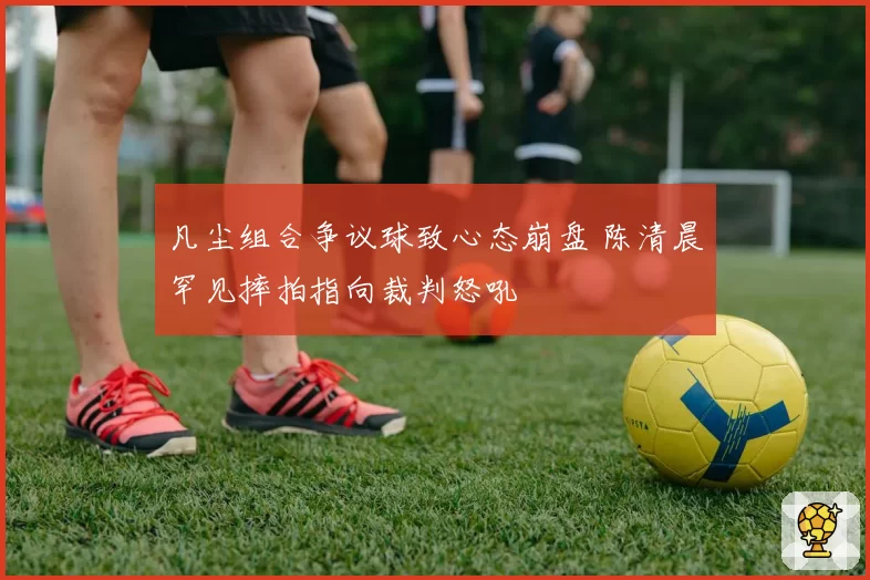 凡尘组合争议球致心态崩盘 陈清晨罕见摔拍指向裁判怒吼
