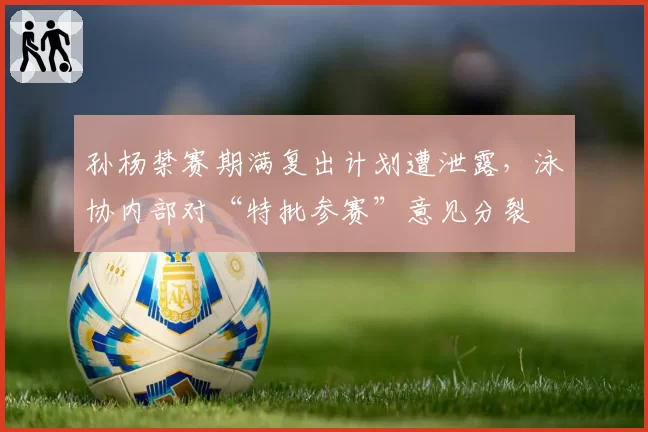 孙杨禁赛期满复出计划遭泄露，泳协内部对“特批参赛”意见分裂